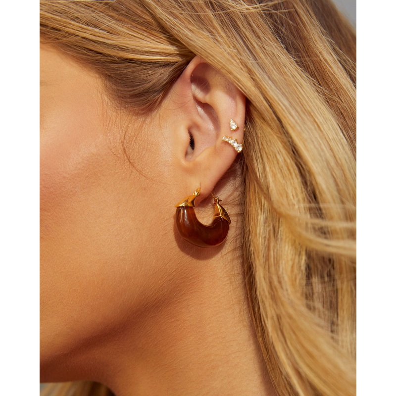 Lucite Hoop Earrings Tortoise O/S