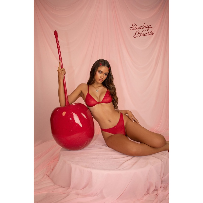 Darcie Sheer Lace Thong RED XS