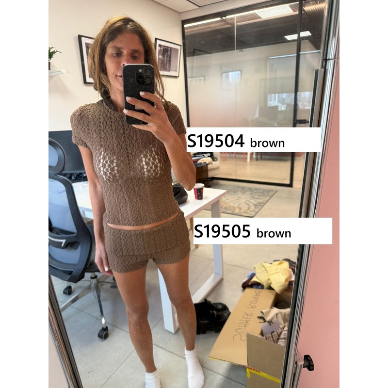 Rye Sheer Textured T Shirt BROWN XS