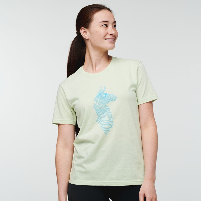 Topo Llama T-shirt – Women’s Lichen XS