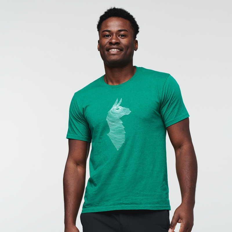Topo Llama T-Shirt – Men’s Canyon S