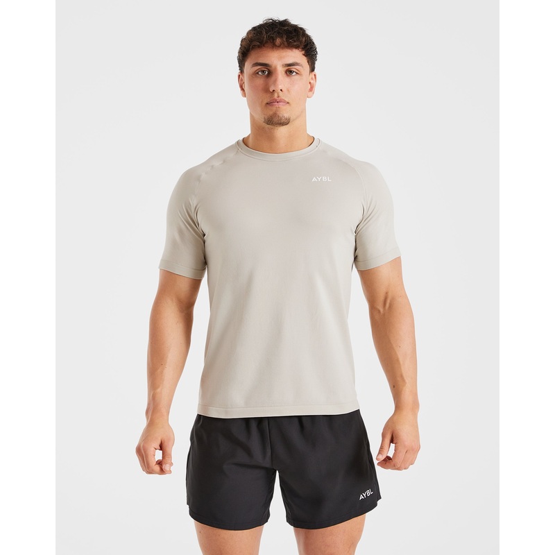 Ascend Seamless T Shirt – Ice Grey XS