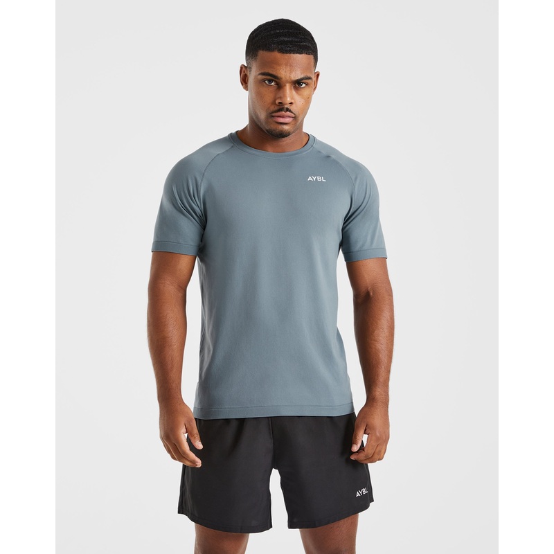 Ascend Seamless T Shirt – Slate Blue XS