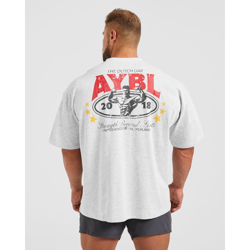 Wesley Vissers X Beyond Limits Oversized T Shirt – Grey Marl XS