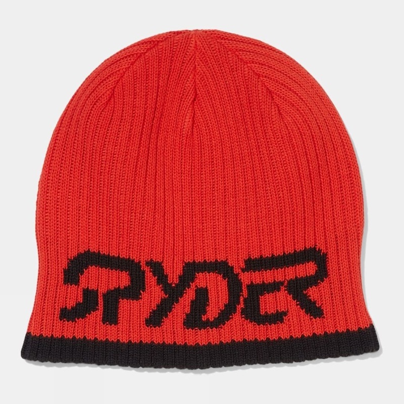 Spyder Unisex Logo Beanie