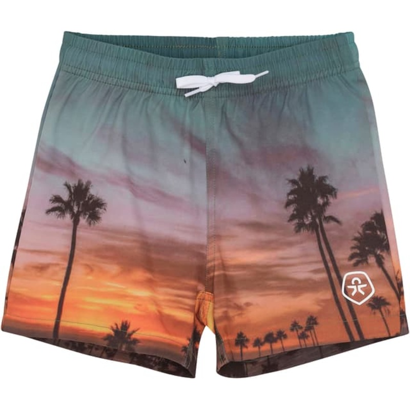 Color Kids Swim Shorts – Youth